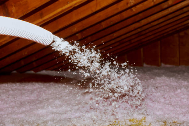 Best Insulation Installation Services in New Roads, LA