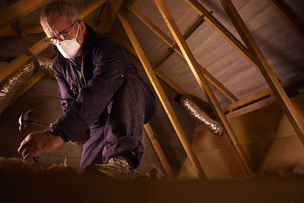 Best Insulation for Specific Applications in New Roads, LA