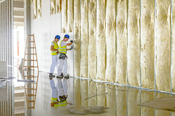 Best Residential Insulation in New Roads, LA
